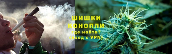 дурь Заводоуковск
