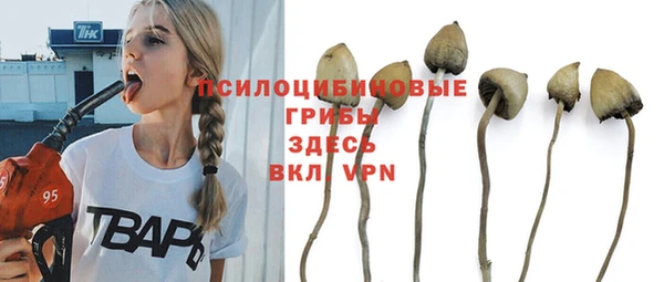 дурь Заводоуковск