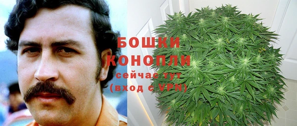 дурь Заводоуковск
