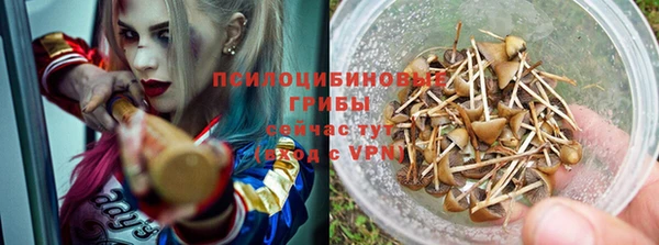 мдпв Заволжье